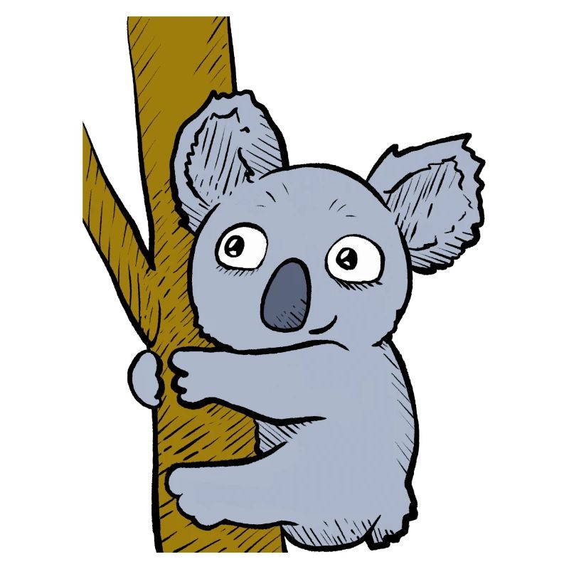 Koala effronté