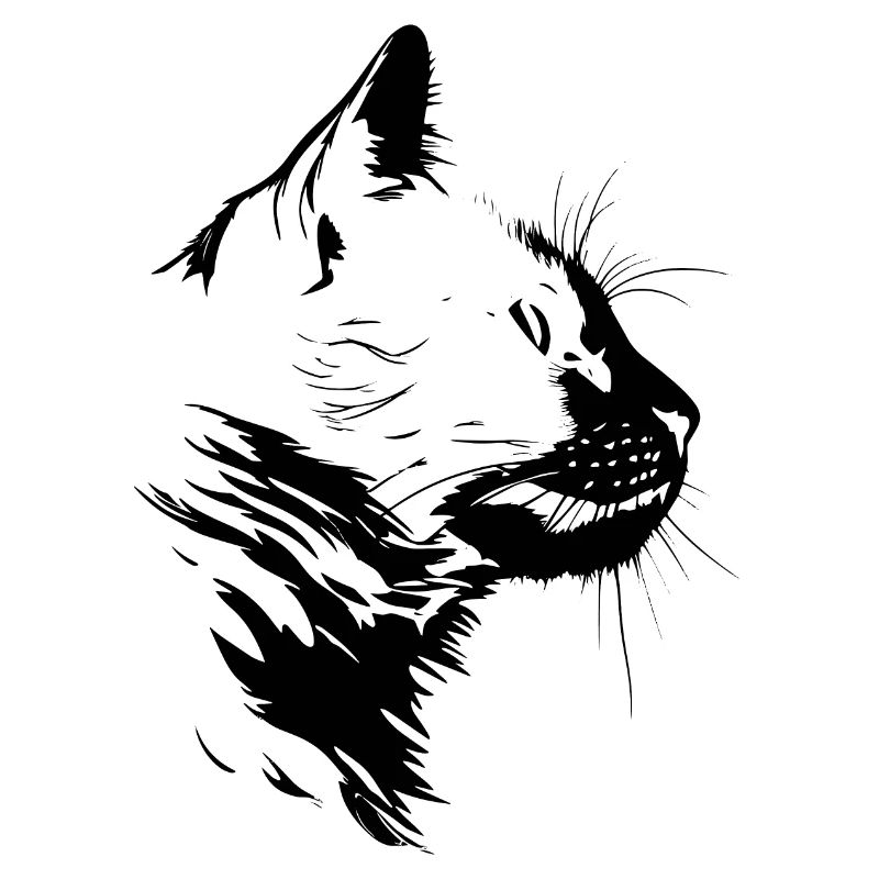 Chat, Motif De Chat