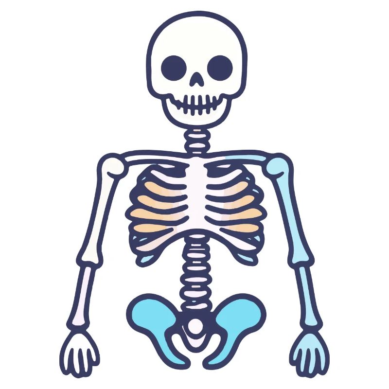 Skeleton Halloween