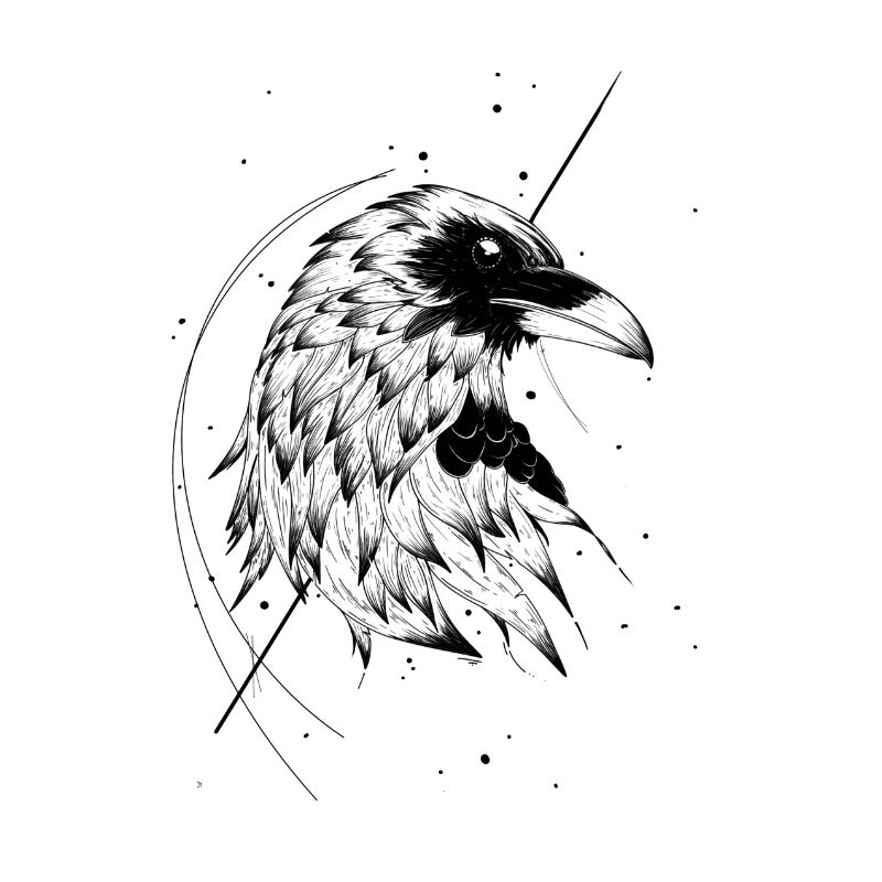 Wild Crow