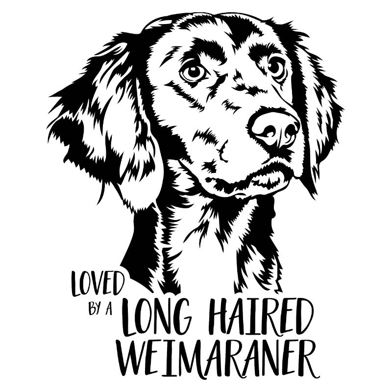 Loved by a Long Haired Weimaraner Hunde Wilsigns