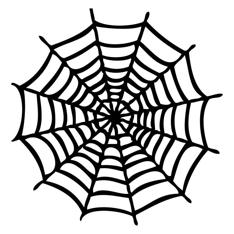 spider web1