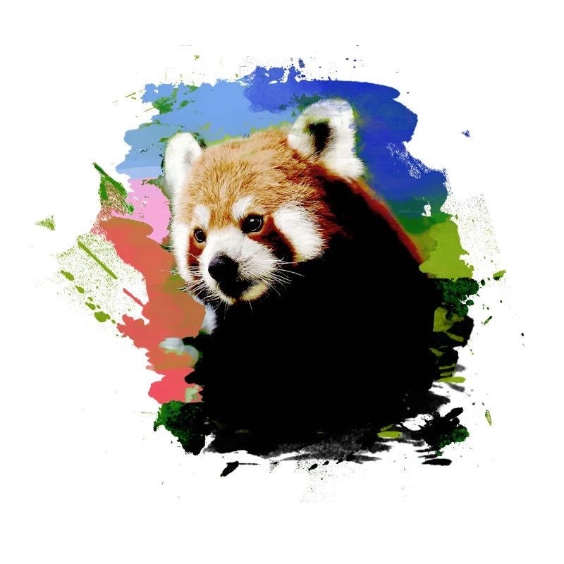 Roter panda ,Graffiti, Malerei,pandabär,blau,bunt