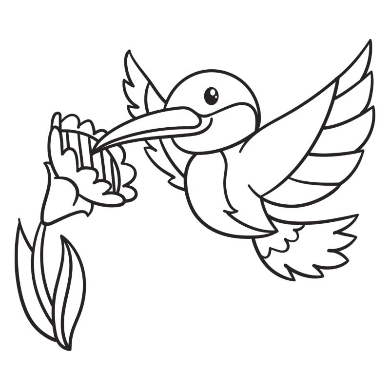Kolibri, Vogel, Geschenk, Geschenkidee
