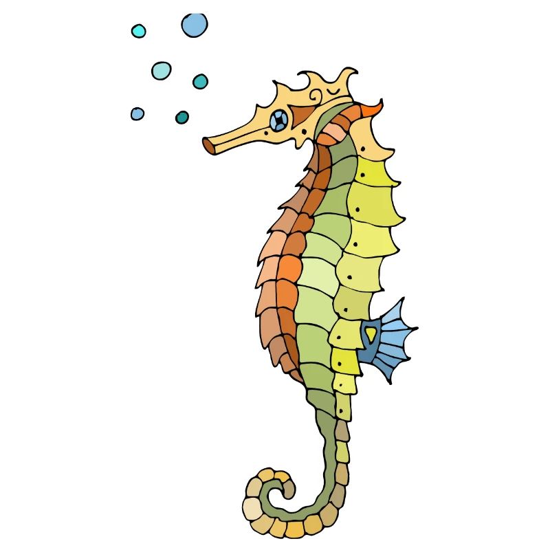 Seepferdchen