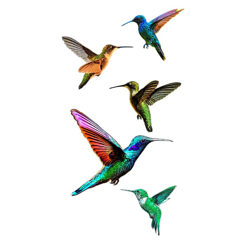 Kolibris