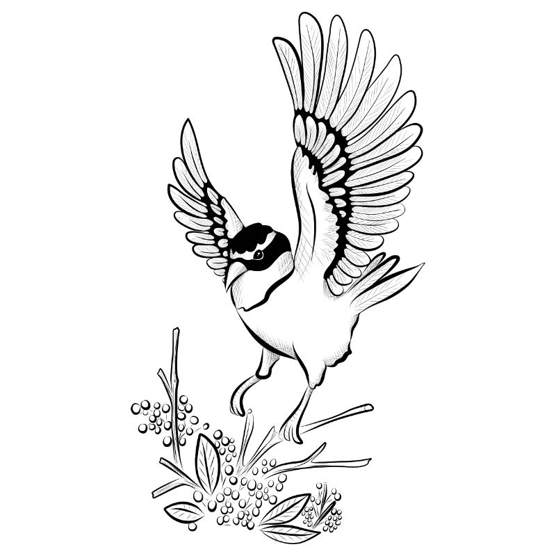 Vogel