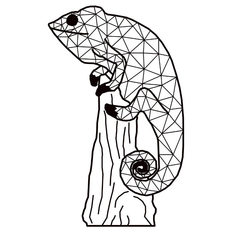 Chameleonn GeomeTRIX