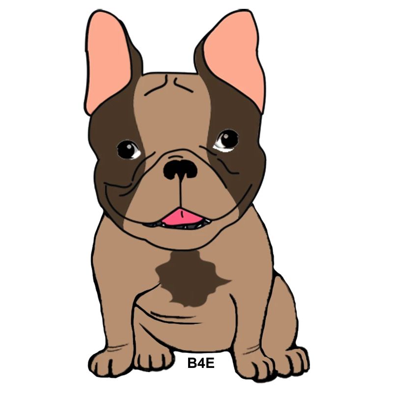 B4E - Boubou