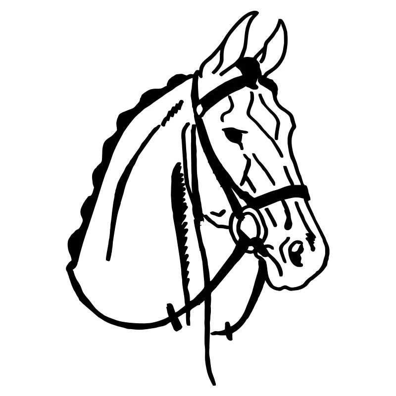Cheval de selle