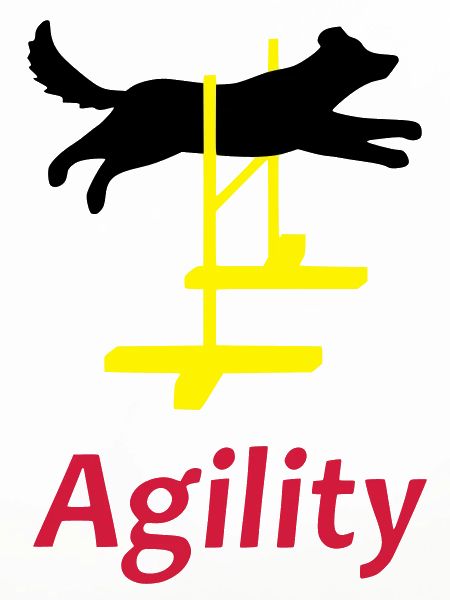 Agility 1
