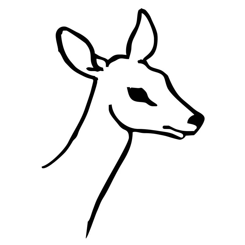 Doe