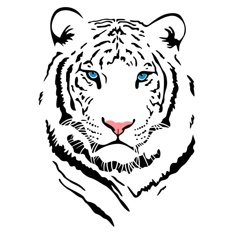 White Tiger # 2