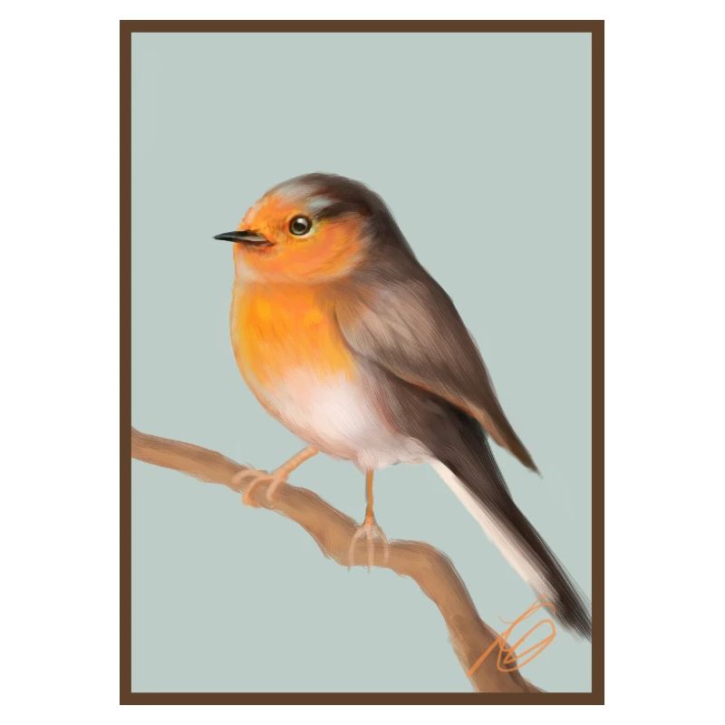 robin
