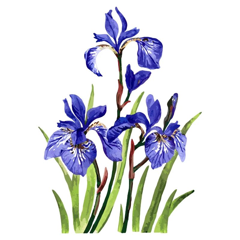Blumen