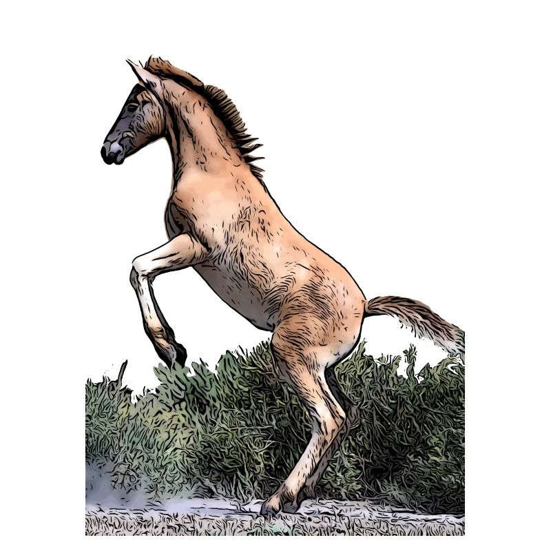 Junges Pferd
