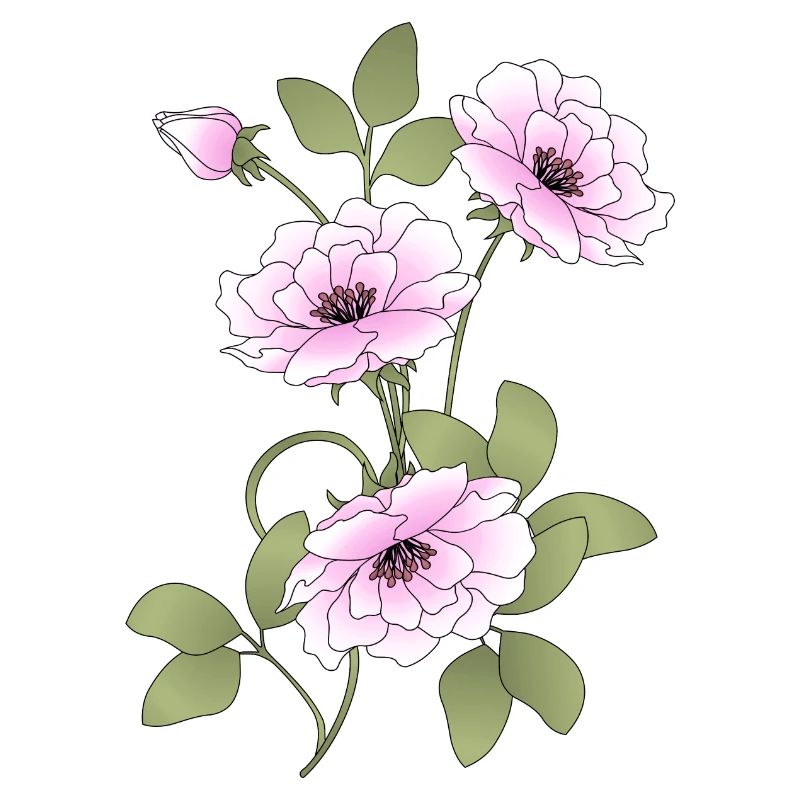 Blumen
