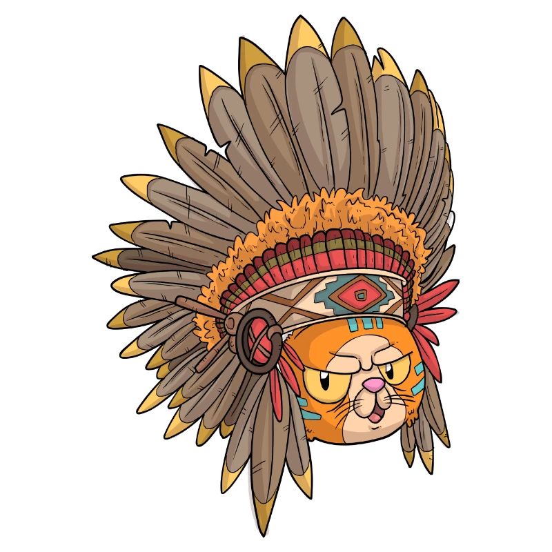 Indian cat / cat with feather jewelry