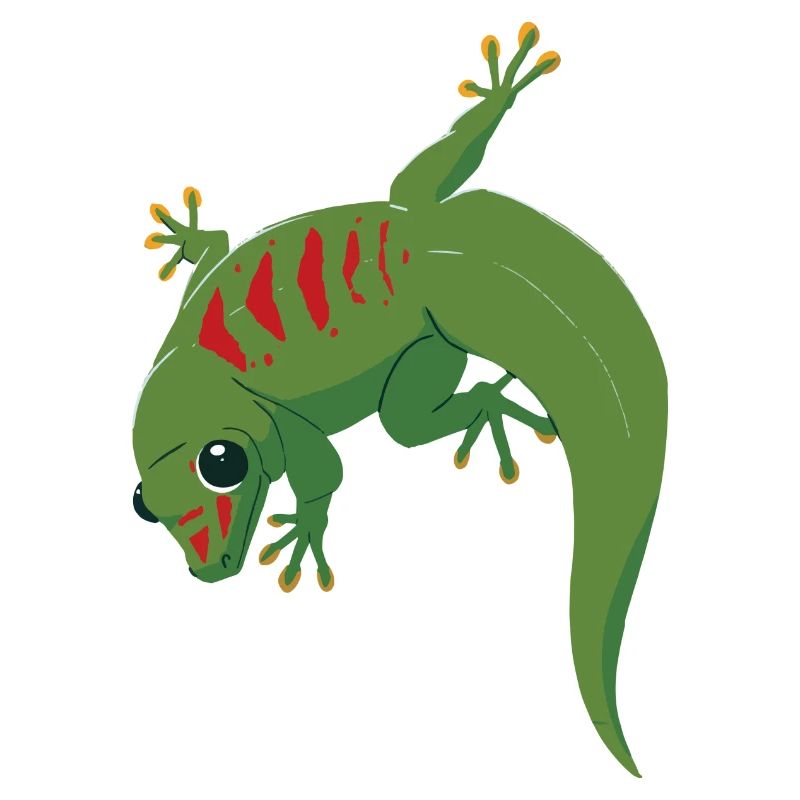 Gecko Illustration