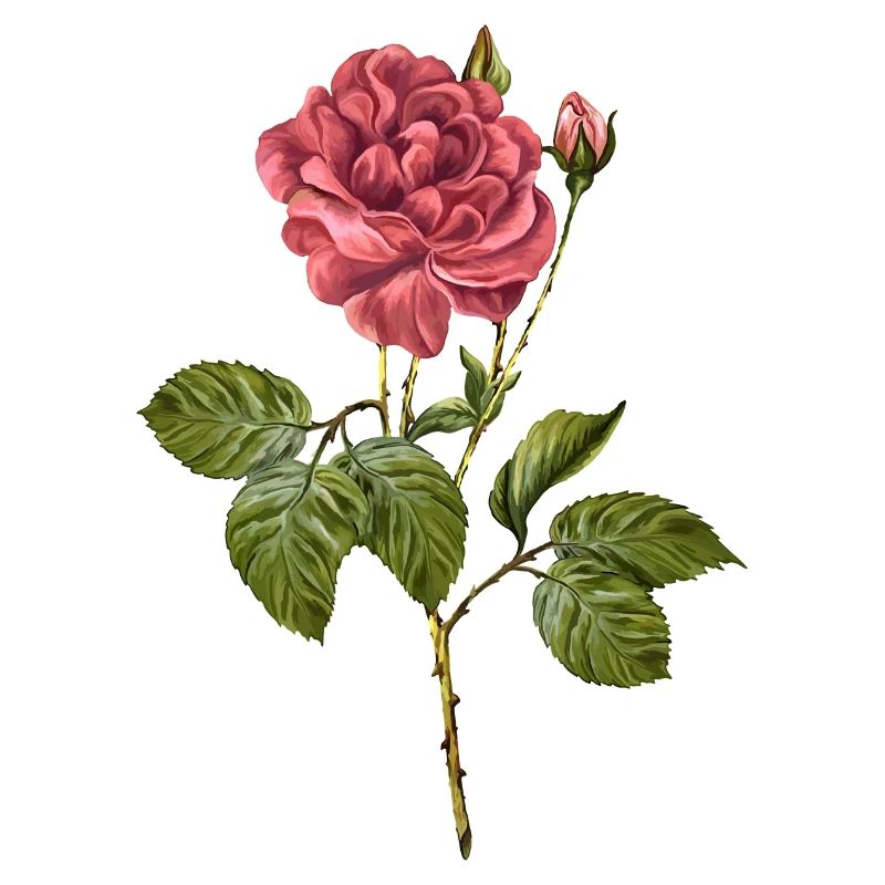 Fleur