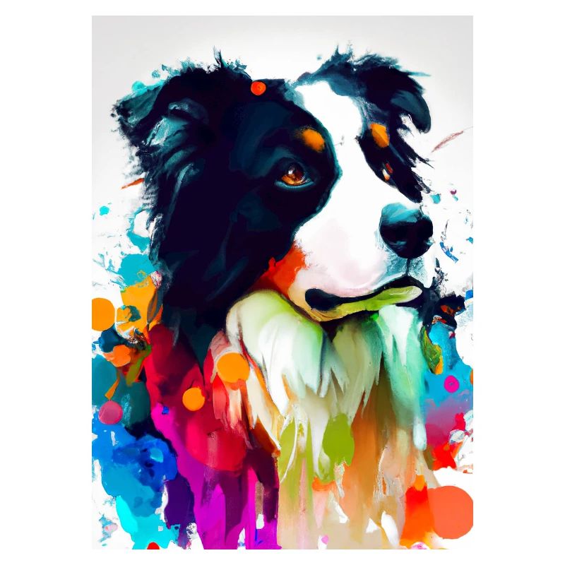 Bunter Border Collie