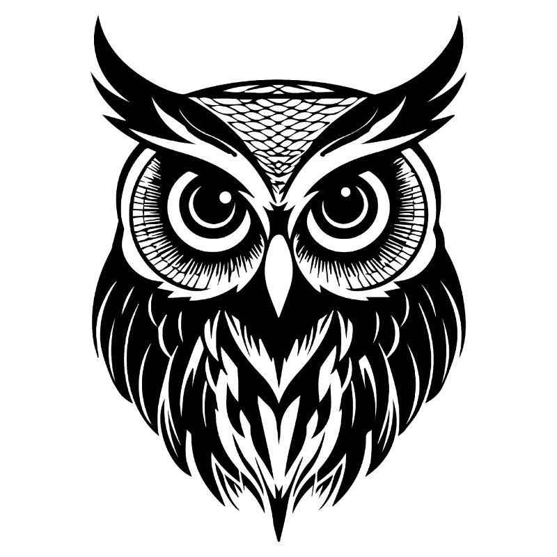 Eule Eulen Vogel Vögel