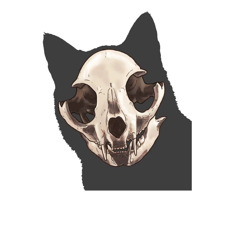 Crâne de chat