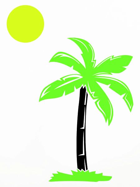 palm tree