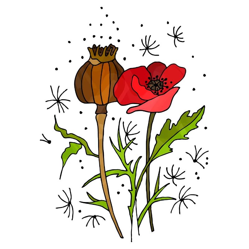 Blume