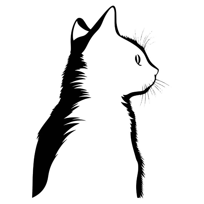 Chat, Motif De Chat