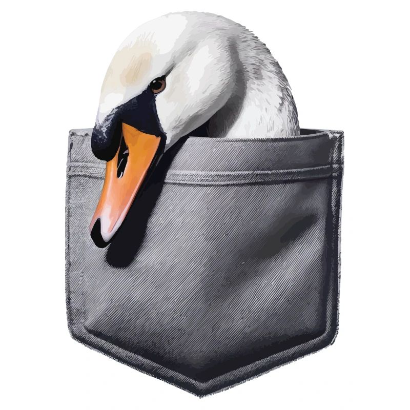 Schwan