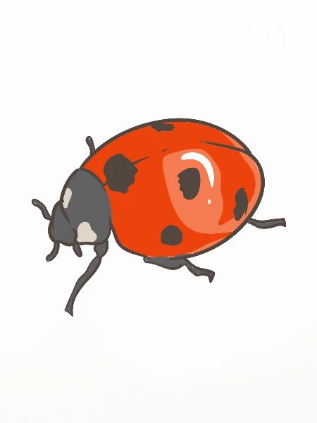 Team Ladybug