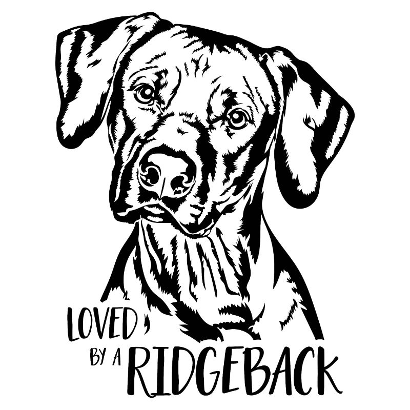 Loved by a Ridgeback Dogs Rhodesian Ridgeback