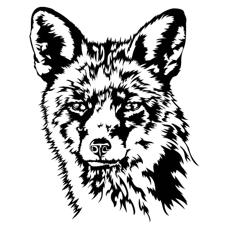 Fuchs Rotfuchs Wildtier Waldtier Wilsigns