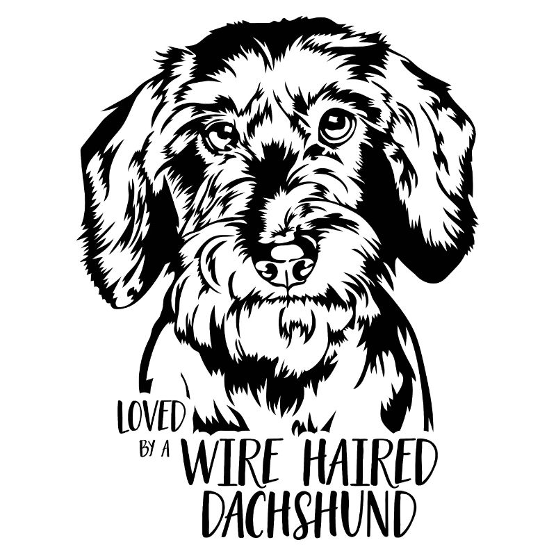 Loved by a Wire Haired Dachshund Hunde Wilsigns