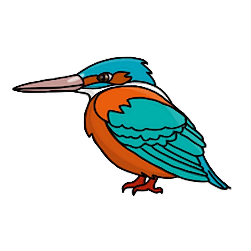 Eisvogel