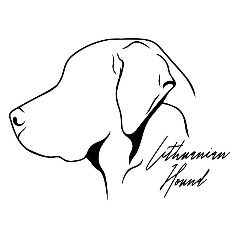 Profil de chien courant lituanien Chiens de chasse Chiens Wilsigns
