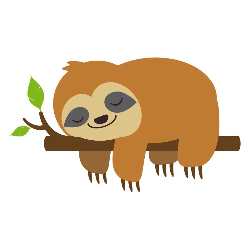 Sleeping sloth on a branch