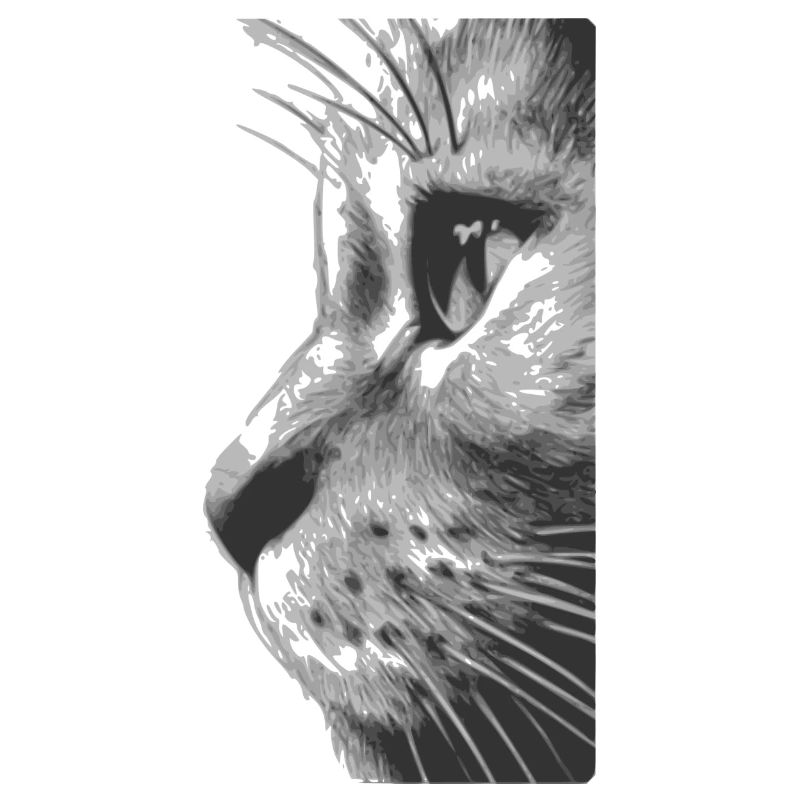 Katzengesicht