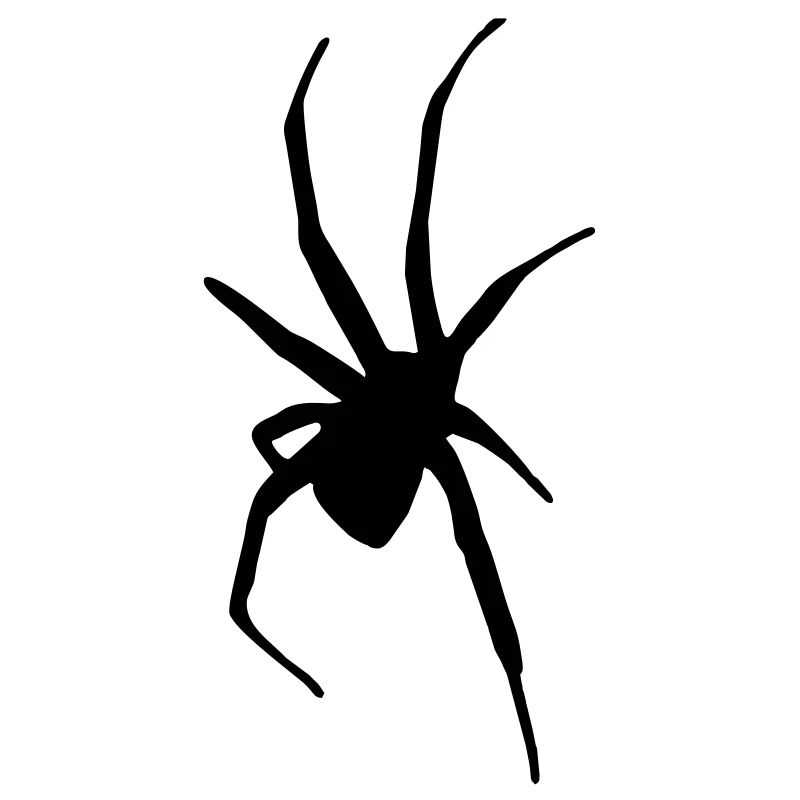 Spider - Araignée