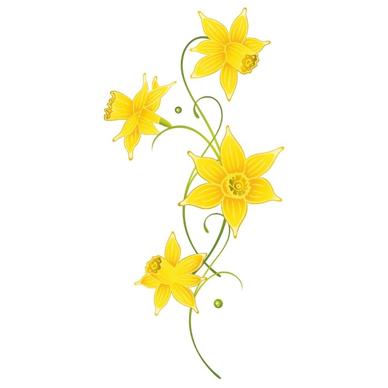 Filigree Daffodils Flowers. Spring, Easter.