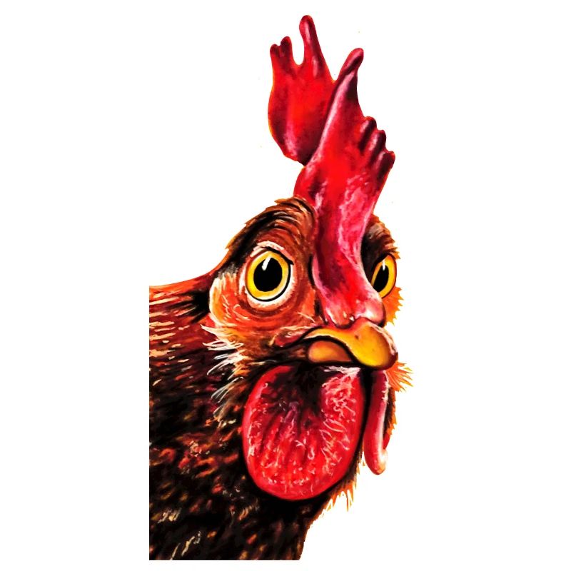 Rooster Herbert