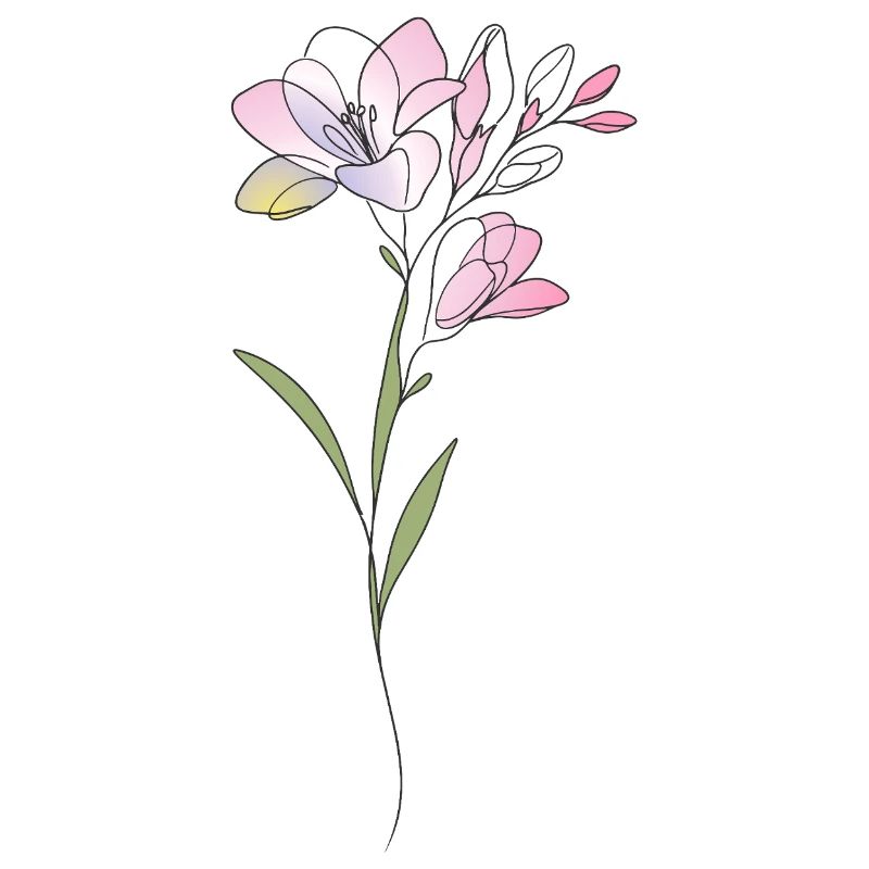 Freesien Blumen Illustration