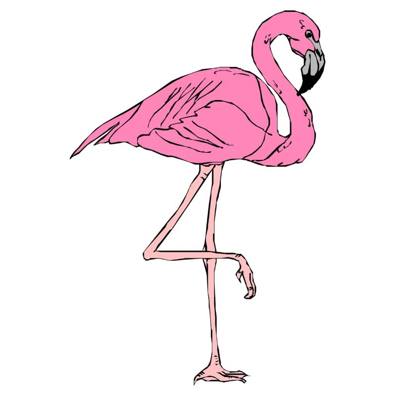 FLAMINGO