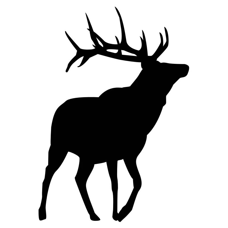 Hirsch