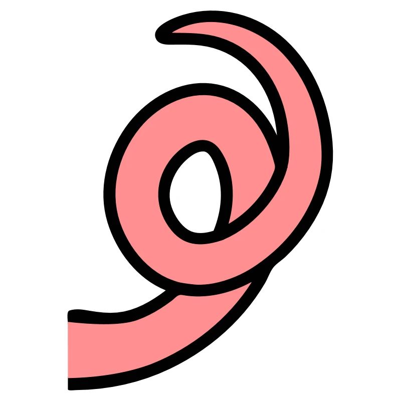 RingTail cochon