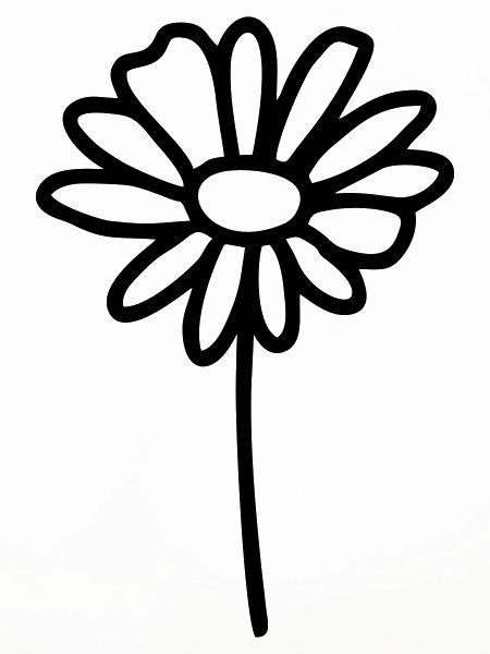 Blume Gänseblümchen