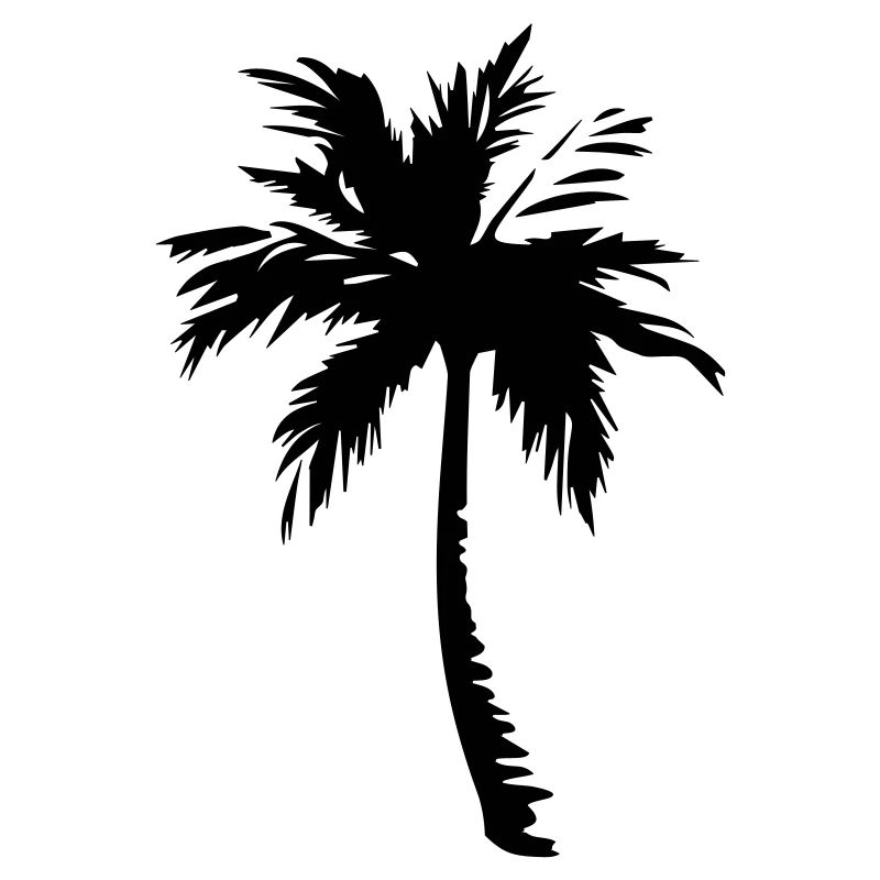 palm tree
