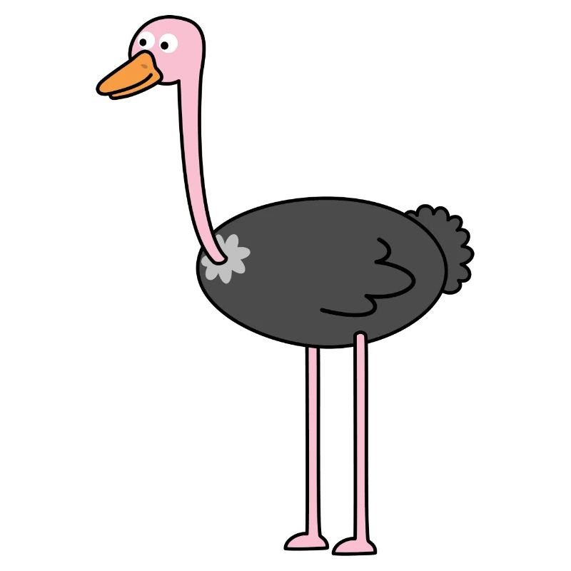 Strauß Vogelstrauß