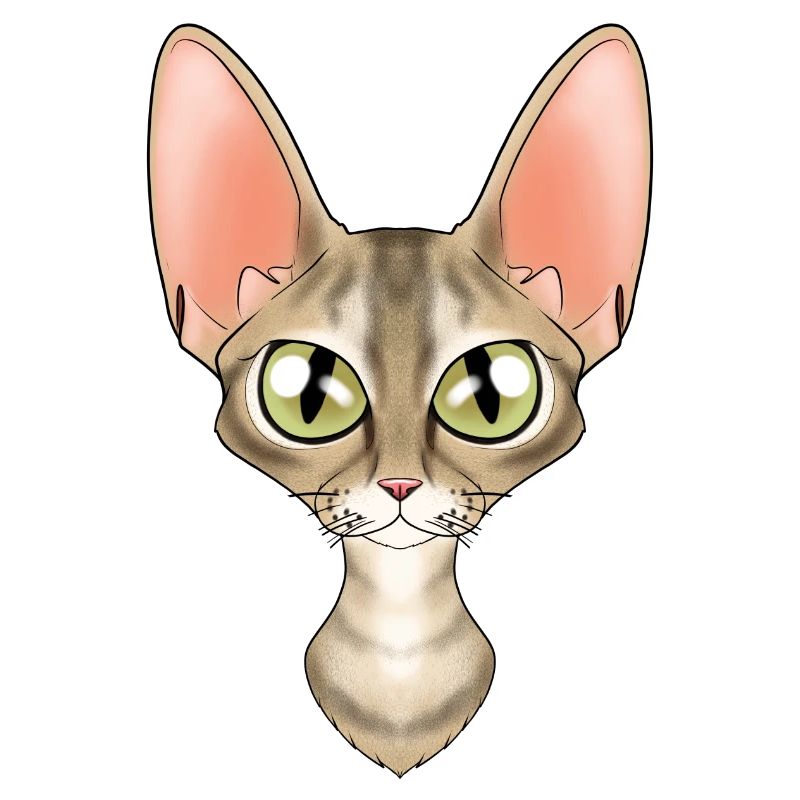 Cat Lover I Cat Face I Devon Rex Cat